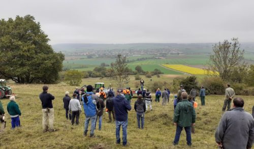 Artikelbild zu Artikel Entbuschungsaktion am Hesselberg am 31. Oktober