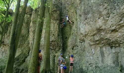 Artikelbild zu Artikel Kurse/Touren