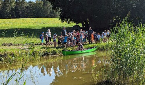 Artikelbild zu Artikel Kurse/Touren