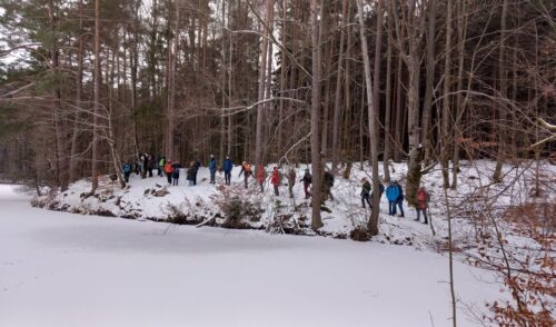 Artikelbild zu Artikel Dreikönigswanderung durch den Dentleiner Forst am 06.01.2026
