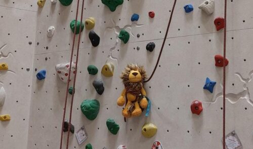 Artikelbild zu Artikel Jugendleiterfortbildung “Klettertechnik und Sturztraining”