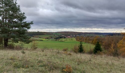Artikelbild zu Artikel Wanderung zu den Sieben Quellen bei Heidenheim am 8. März