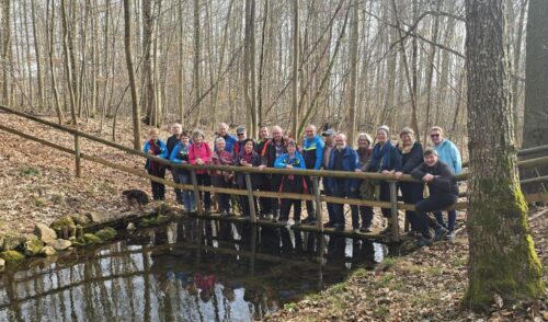 Artikelbild zu Artikel Wanderung zu den Sieben Quellen und nach Heidenheim am Hahnenkamm am 08.03.2026