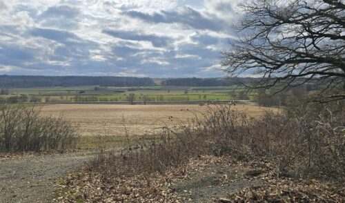 Artikelbild zu Artikel Wanderung um Geilsheim am Sonntag, den 12. April