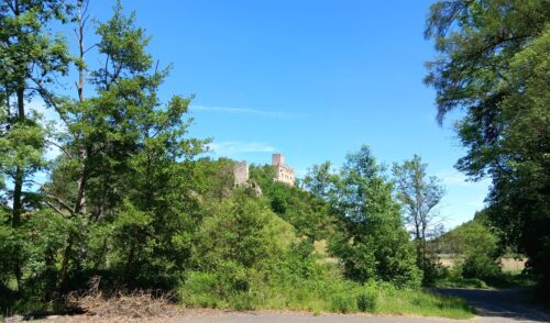 Artikelbild zu Artikel Wald-Wanderung im Südries am Sonntag, den 21. Juni