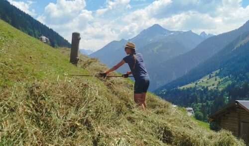 Artikelbild zu Artikel Jugendleiterfortbildung: Leben und Arbeiten auf dem Bergbauernhof